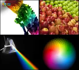 4 Pics 1 Word Level 41 puzzle featuring a rainbow chameleon, red and green apples, a prism, and a color wheel.