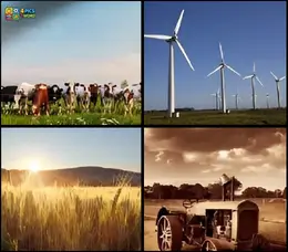 4 Pics 1 Word Level 47 Answer showing farm animals wind turbines and crops