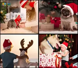 Four pics one word level 6 cheats images featuring a cat in a holiday outfit, a pug wearing a Santa hat, a dog with reindeer antlers, and a husky next to a Christmas present.