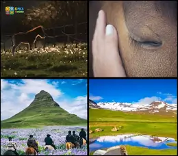 4 Pics 1 Word Level 7 puzzle grid showing skydivers in freefall formation and an expansive high-altitude view of the Earth's horizon.