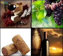 4 Pics 1 Word Level 73 Answer showing vineyard rows green grapes and wine barrels