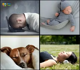 4 Pics 1 Word Level 74 puzzle with a man sleeping on a laptop, a baby in a hammock, a sleeping dog, and a woman on grass.