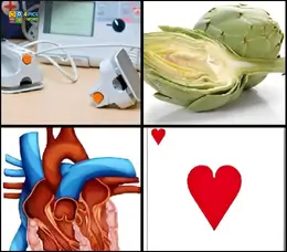 4 Pics 1 Word Level 77 puzzle showing medical paddles, an artichoke, an anatomical human heart, and a heart playing card suit.