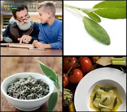 Close-up of textured pasta dough sheet with flour on surface
