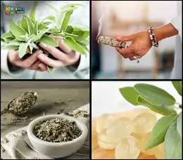 Assorted ingredients including herbs, seeds, cherry tomatoes, pasta dish, and garlic